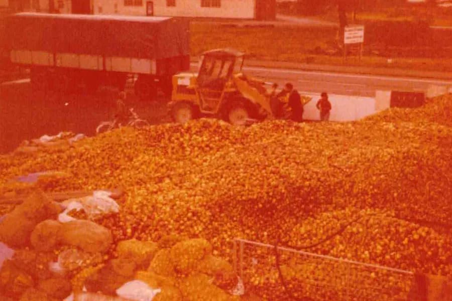 Apfelernte mit Traktor – Gerths Fruchtsäfte